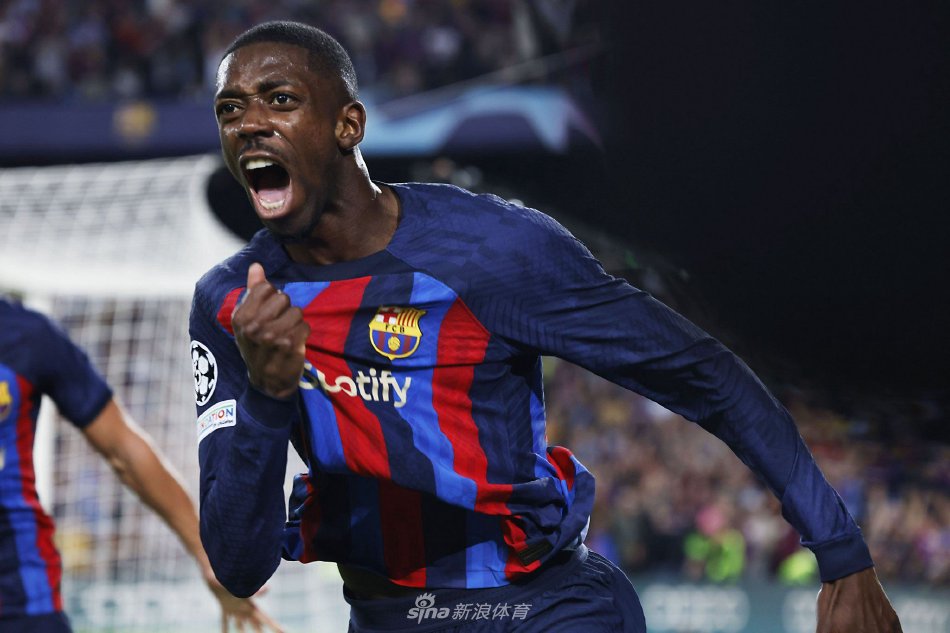 完美结合的 完美结合的